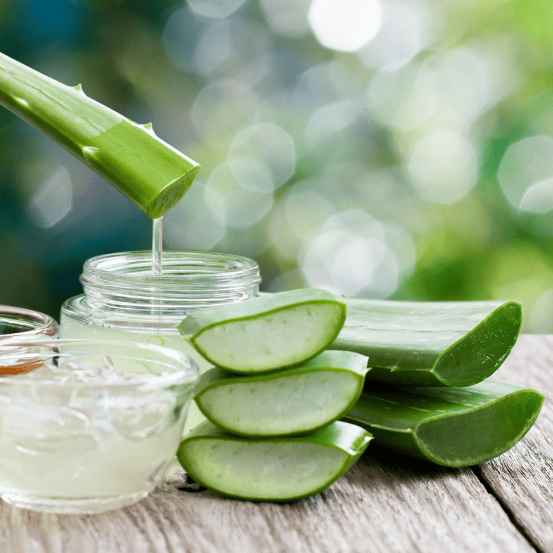 Aloe Vera - Bienfaits Cheveux fins